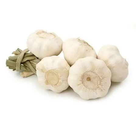CABEZA DE AJO UNID.