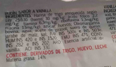 BUDIN POZO VAINILLA 170GR