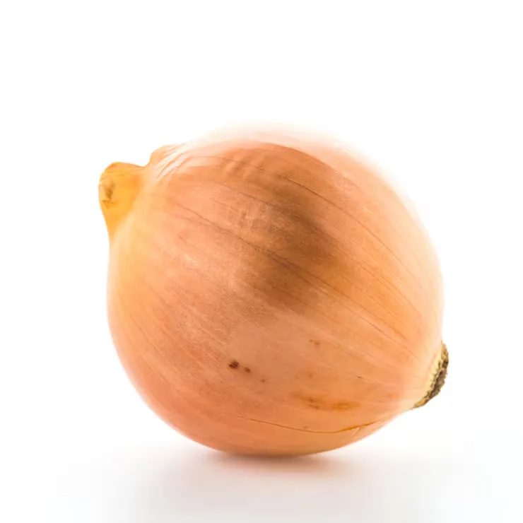 CEBOLLA 